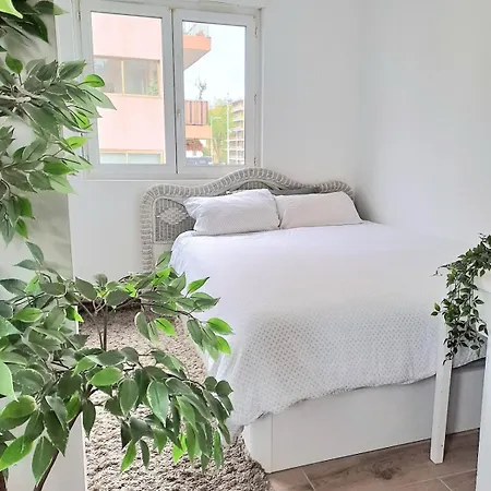 Apartamento Cosy Plage, Gare, Centre-ville *